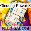 Ginseng Power X kamagra1